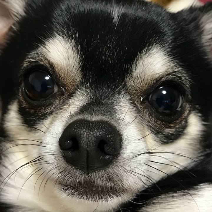 7c568ebf 6d12 4497 bacb 2f8da0cc5e28 1523621200522