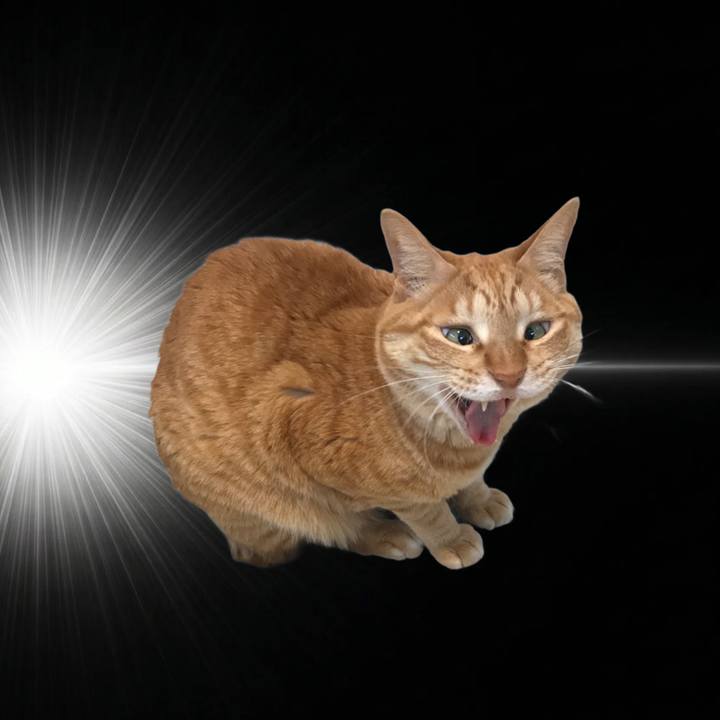 7c56c6bd ef6a 4266 91d0 b85de8a7b5c0 1775653188988