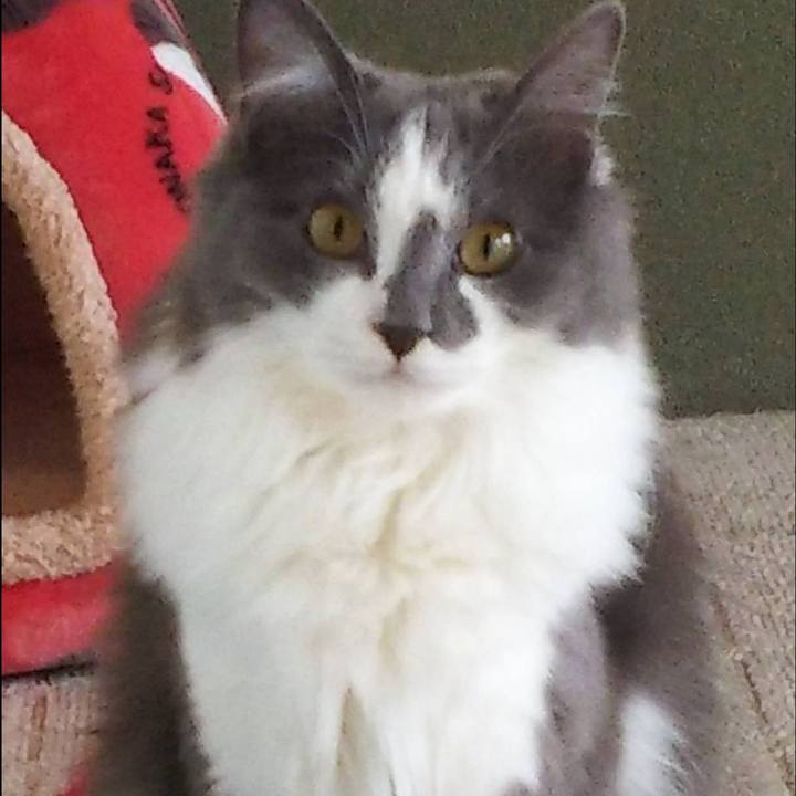 7c56c8b4 54b0 4e66 b89e 8b784ceab228 1576836399446