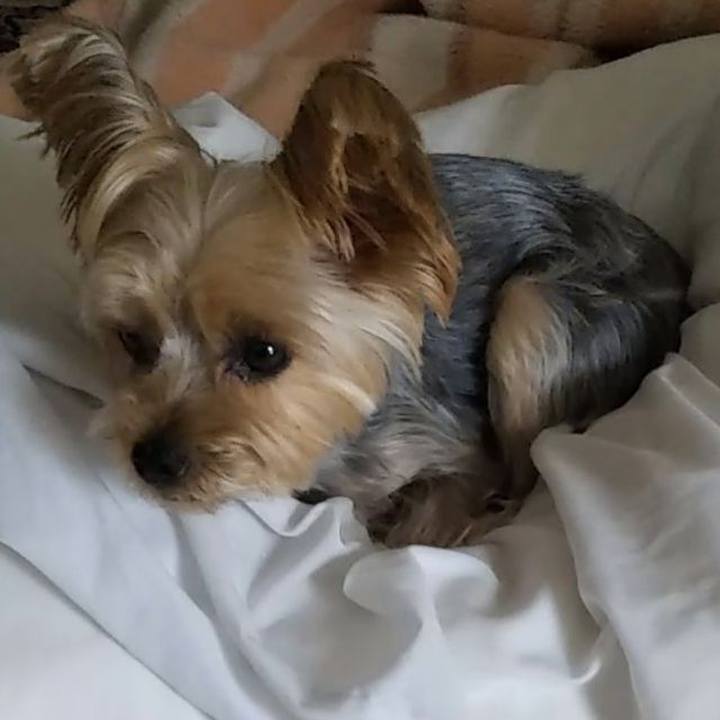 7c571f2d 7b94 4646 bb87 e61ef495259d 1635313153903