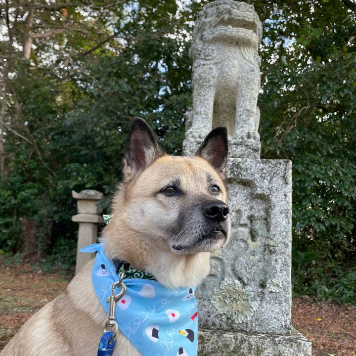 7c5727a7 67ad 4de7 ad1e 8b47c4d3ad43 1704110596833