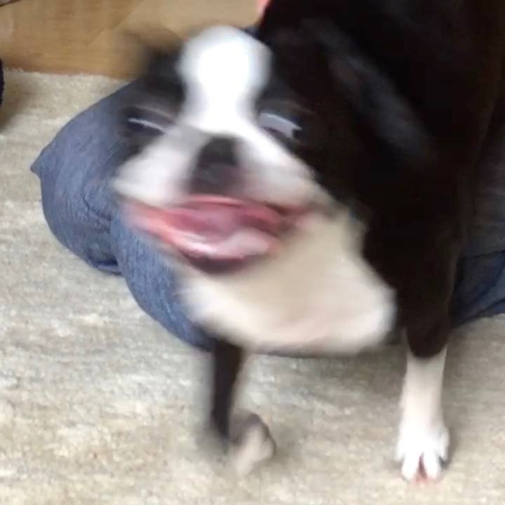 7c57463a 2dbe 440b a735 6e0cf60cb264 1529928124570