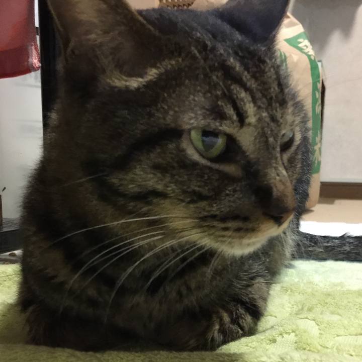 7c576855 ccd6 4a47 884f 9c8d83bf568b 1549283441425