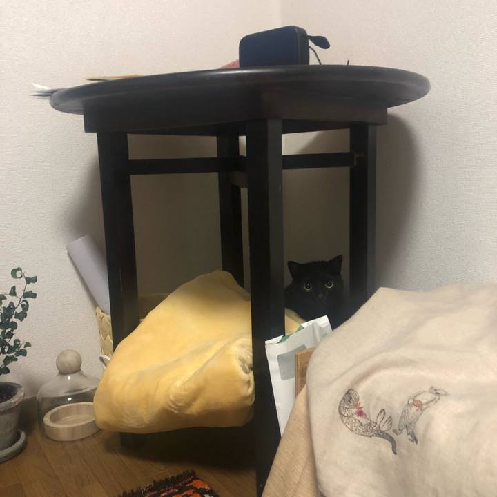 7c57a612 ead1 4623 b5fd 7f94f637fc5b 1607838898602