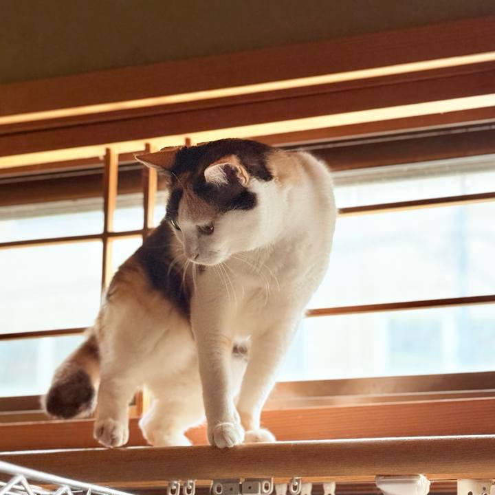 7c57c225 9f59 4fd0 8102 e3636f731694 1747882584421