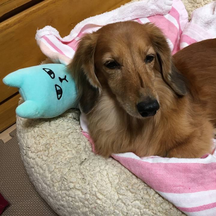 7c57e794 56bc 462d 89ef 7b7a8f7b8b2f 1604582982228