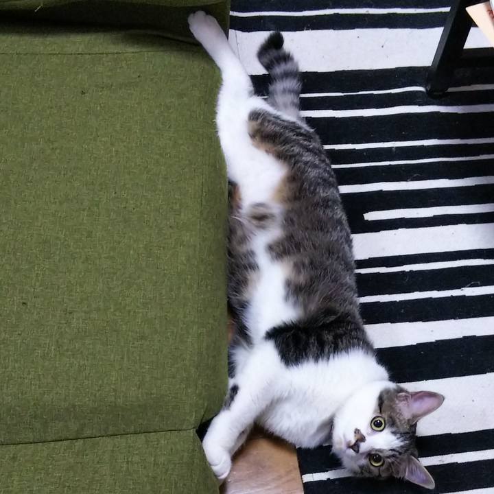 7c580160 3dbd 4371 a514 30850a97ad33 1617025145350