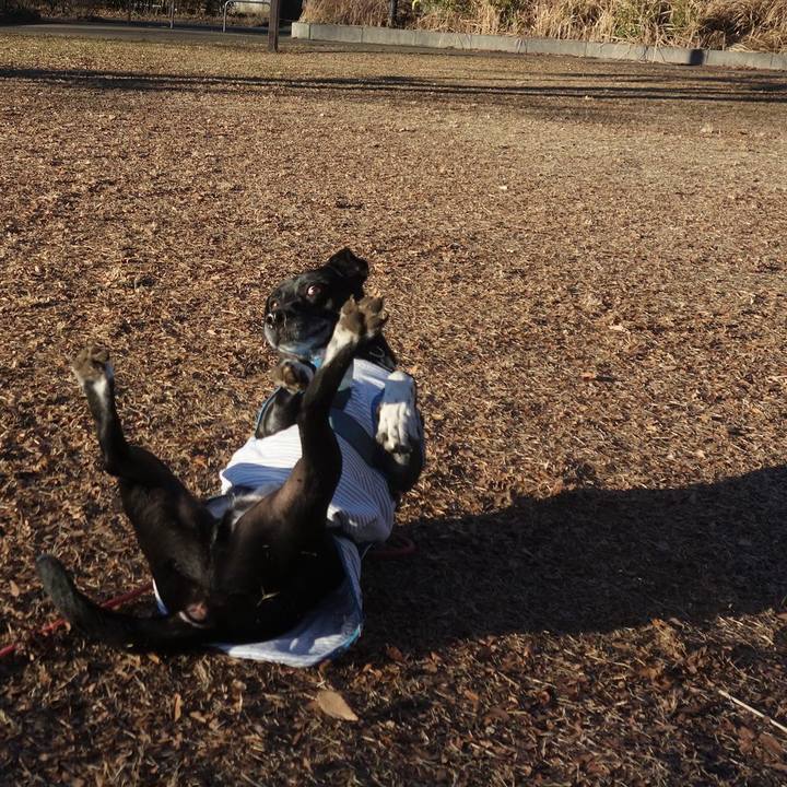 7c5812db b10d 4957 9aae b4d92e6682e3 1704676584556