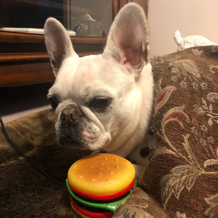 7c58518f 4f9c 46d6 acd7 f094d8044500 1609486249968