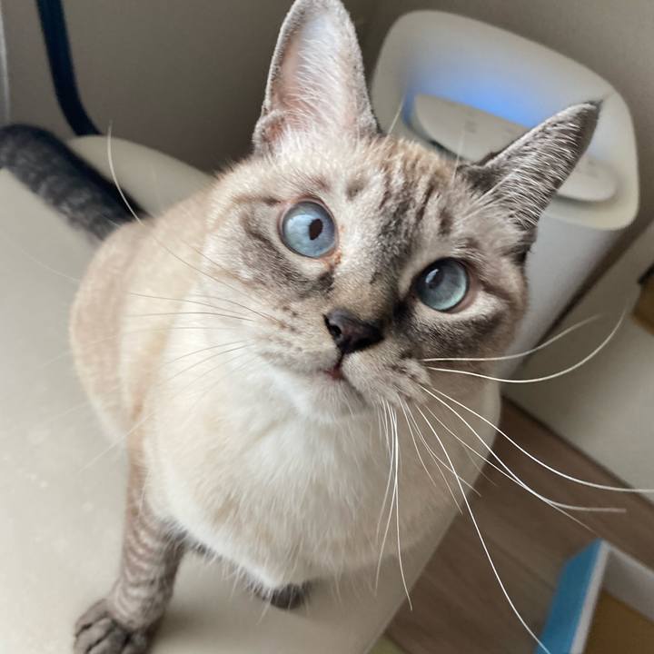 7c586c0a 5167 4653 9f5c 2e99efc4e5fc 1730775039011