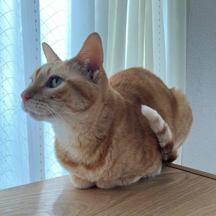 7c58894b 35f0 4e3d 9057 45cf8878789a 1772610977026