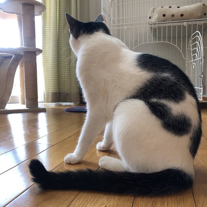 7c58c2e8 d1c9 4324 aef1 482bf89545b9 1657668084287