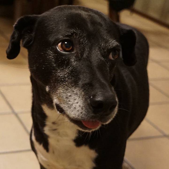 7c58c881 3629 488e b846 871dca0483b7 1761649177583