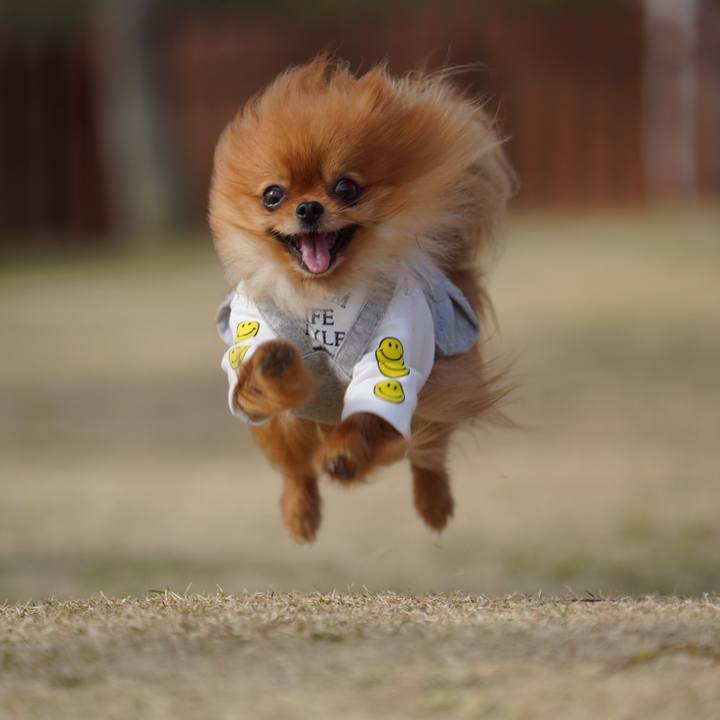 7c58ebd5 9920 4a46 ab9e 302a31c32d96 1548025239096