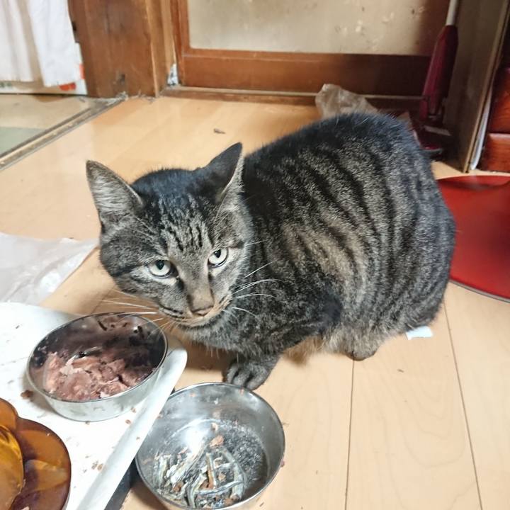 7c59884f 587a 4b0a ba99 e9ddfc13462e 1634217365953