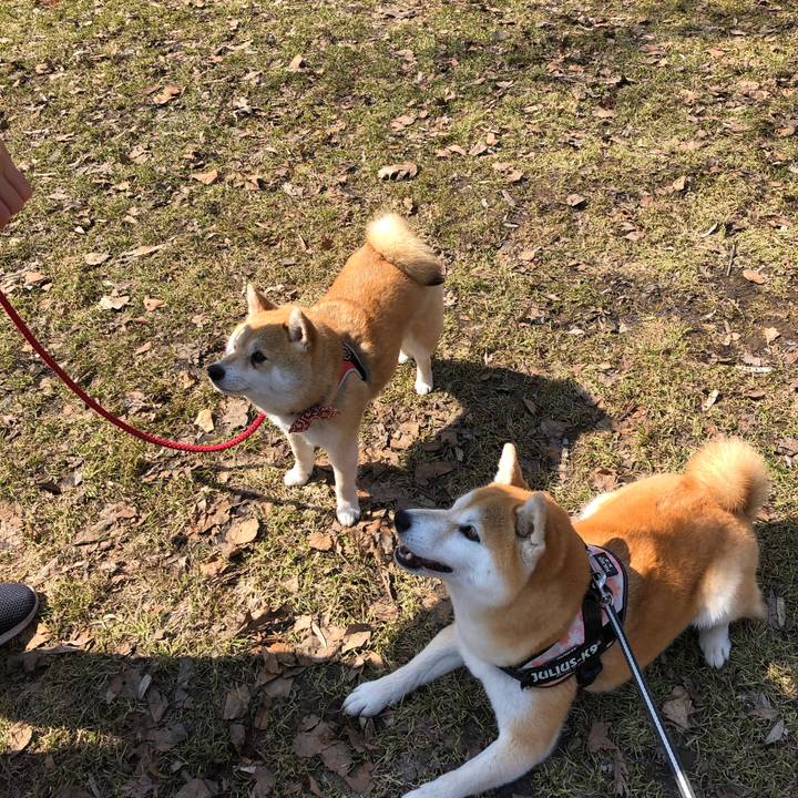 7c598e65 eb73 423d aafe df1fa47acb18 1586577405836