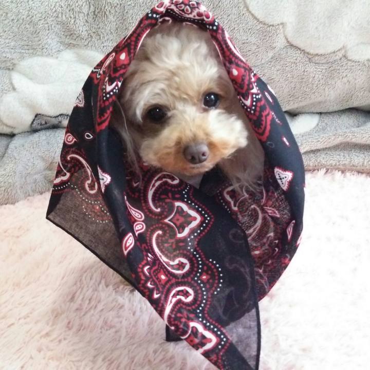 7c59a857 c092 40d0 bc0c b65bb9bb9698 1522971800091