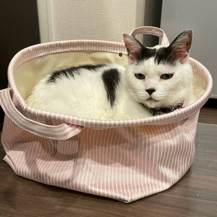 7c59c6d1 56f9 49fe b1e9 dd5e63cd7697 1722778003634