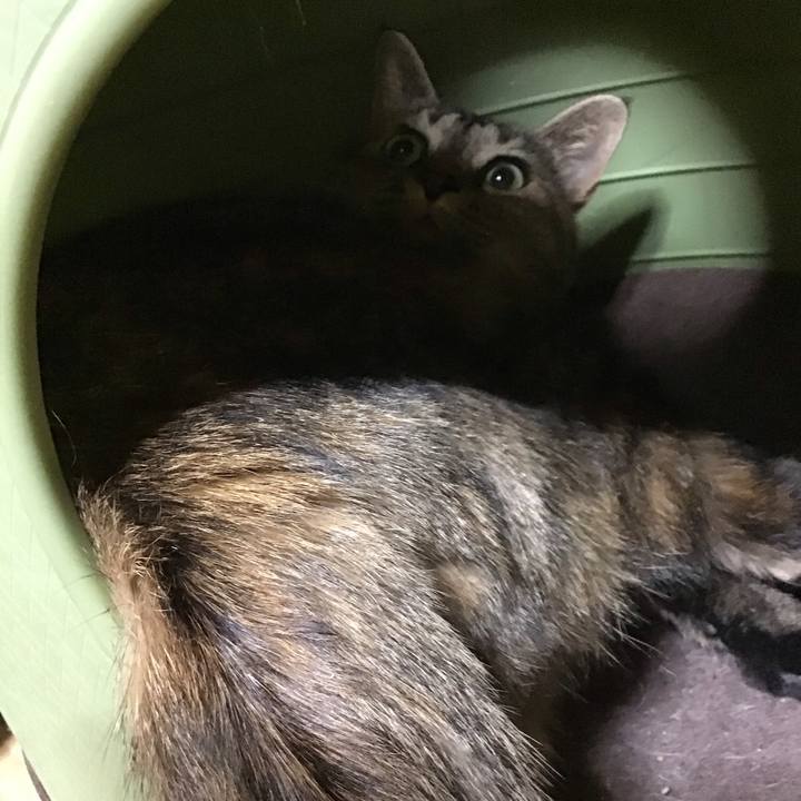 7c59d9b0 bc6b 4d87 a01d ad6d3c045af0 1742818387148