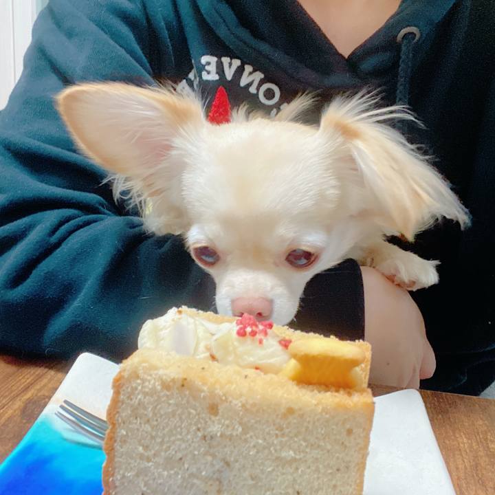 7c5a271b bee2 42c3 b168 bbecdf4bfbed 1644754852563