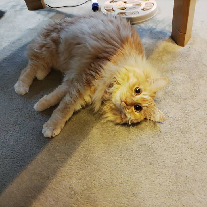 7c5a4014 a886 4758 a8c3 77c4ade25619 1681253572459