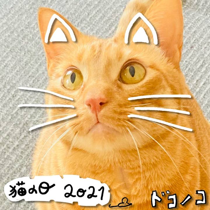 7c5a46cd e843 4ac2 9afa 460989145c9b 1613992093194