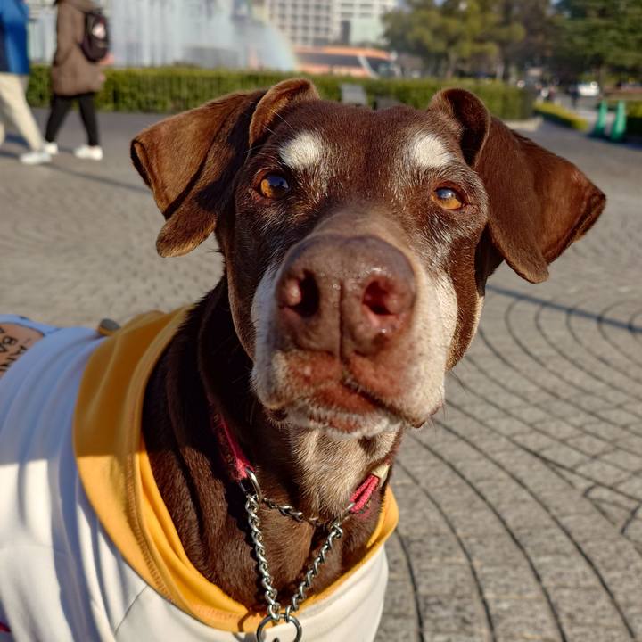 7c5a4f63 ddbd 4de0 a313 a6f21eb4b37c 1773140080548