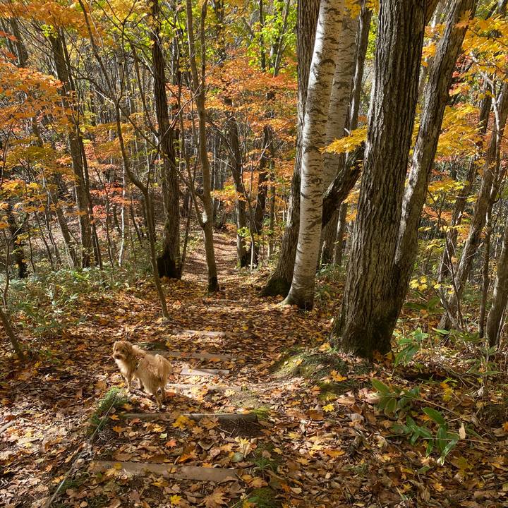 7c5a5be7 375c 45ac b983 b43696d9d01e 1635047846341