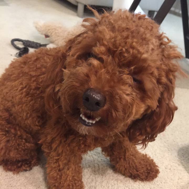 7c5a7a4c 9945 4721 a5a2 2ea3ad092d7c 1600392648898