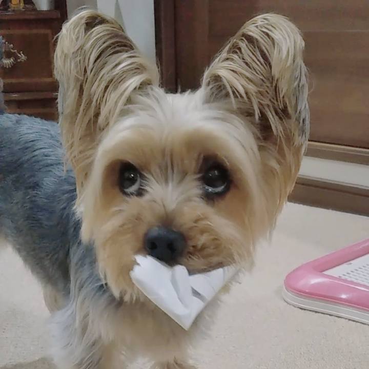 7c5a7b3a af60 4ae4 8b78 1eebb7e3a38c 1653784877831