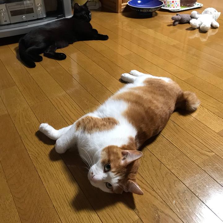 7c5aaabf 0e8f 4fc0 bc37 ef76f61e5cec 1594639361202