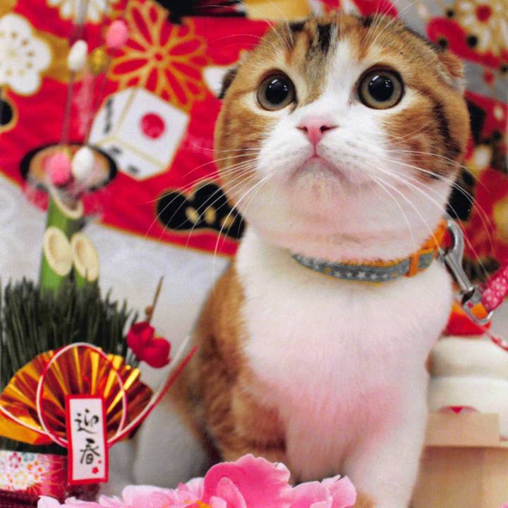 7c5addb9 225b 4045 89b8 94ee43d42026 1514772692361