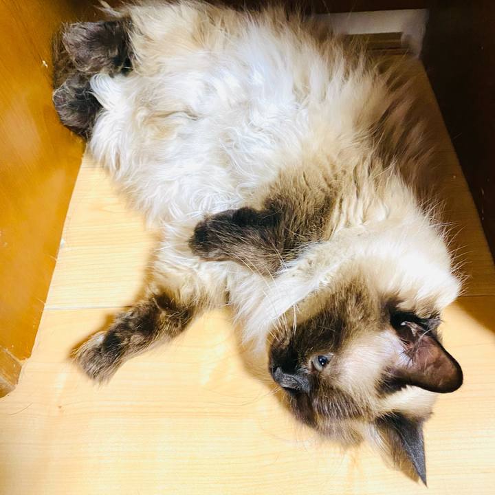 7c5af3bb 89b3 41a3 abab 0c0350cbb557 1689462090495