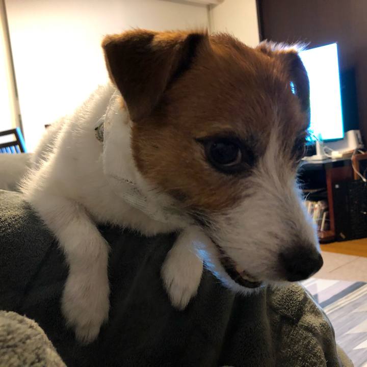 7c5b52ee 9cea 4707 9e32 a5cf46bd8366 1590149183625