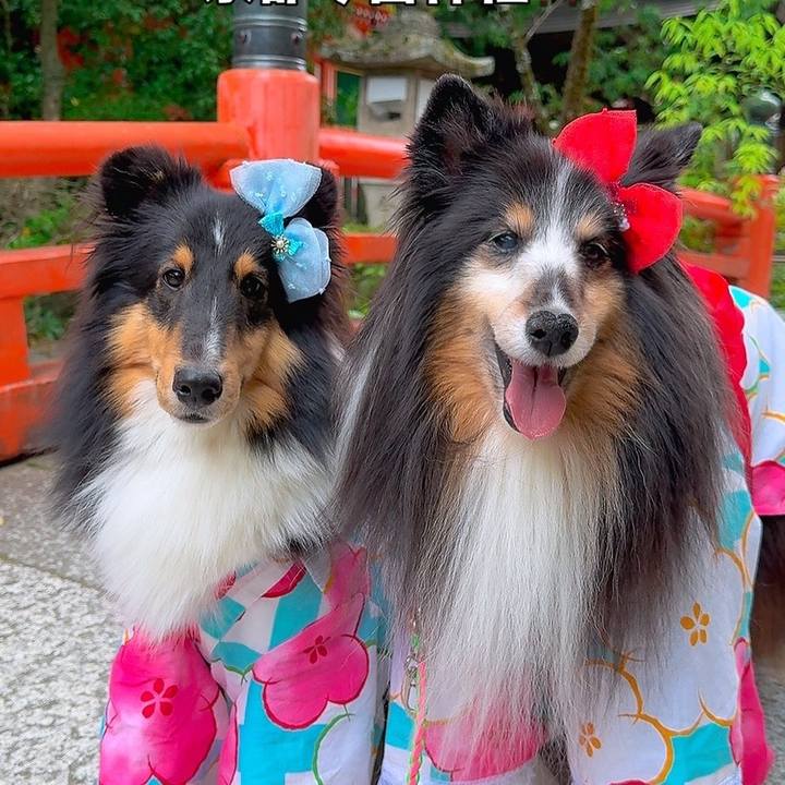 7c5ba825 130e 4105 be9c 45a430f121ae 1749997307500