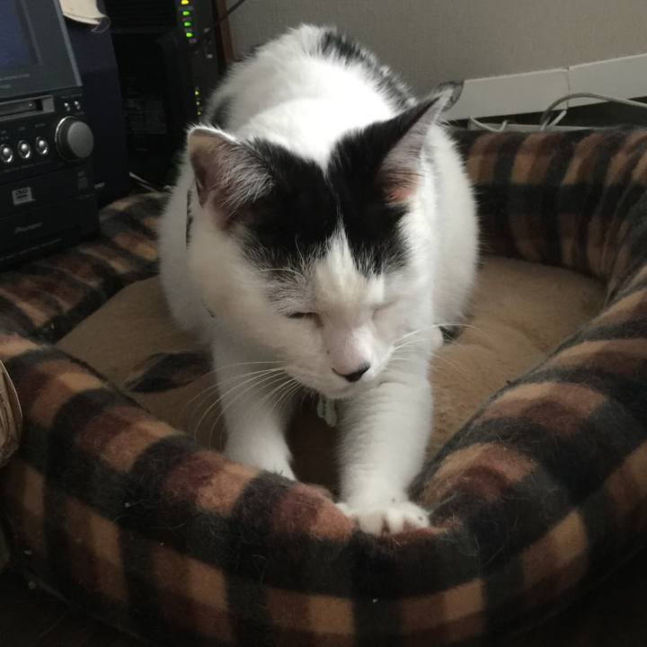 7c5bcd8c 7dfb 43f0 8d6c 23233a86713e 1509493434791