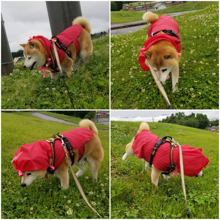 7c5bec7a 23e5 465f b029 339296de7438 1685687233426