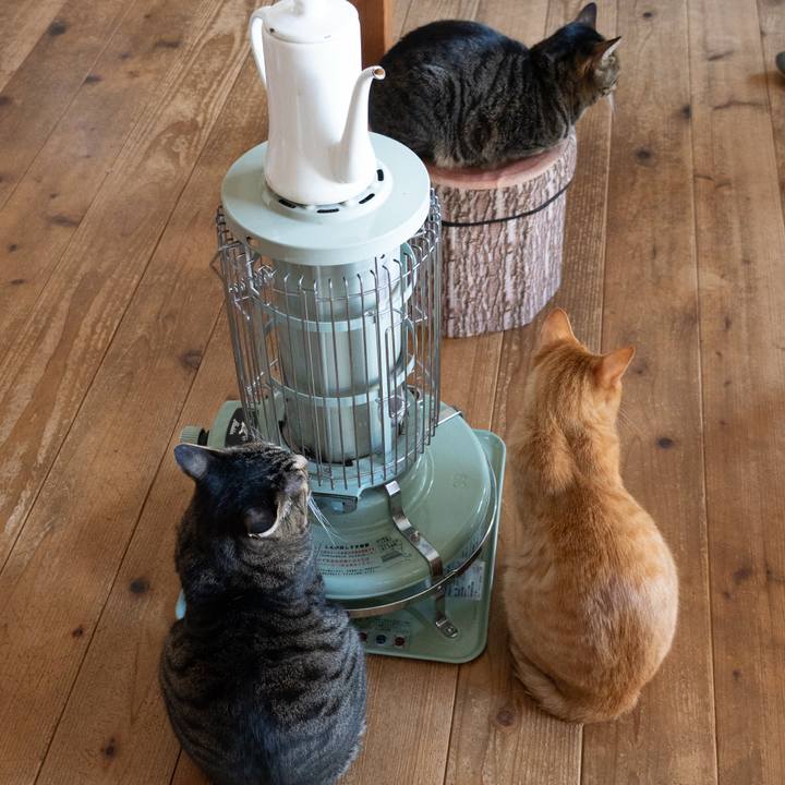 7c5c333d 4c0c 4d57 b03c aae9d3305e60 1774156508067