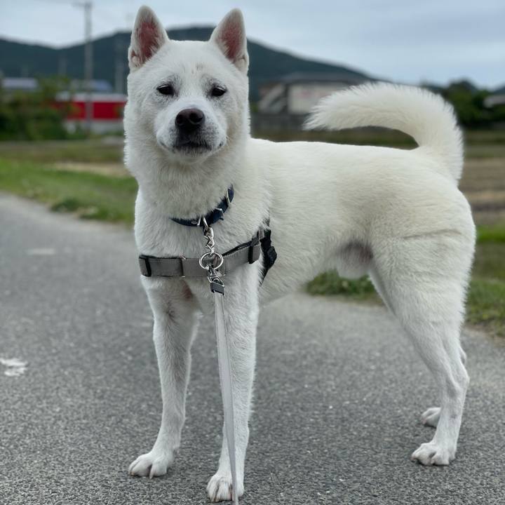 7c5c3eef 6ae3 4853 b54f 4fafeaf3bee3 1685240091798