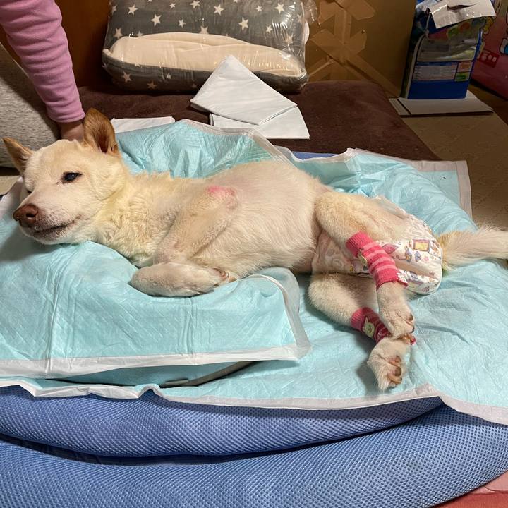 7c5c8d60 562c 4044 be6c 7d90cf783fac 1674226402398