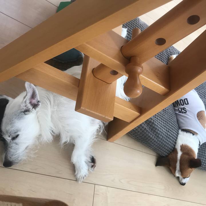 7c5c9d37 5010 4b4e a761 1ccd90305dfc 1531788282099