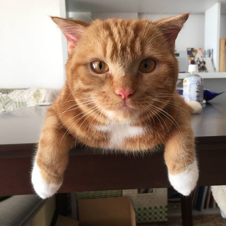 7c5c9dc7 489d 4496 a6b4 53ed87db7b3a 1512269281932