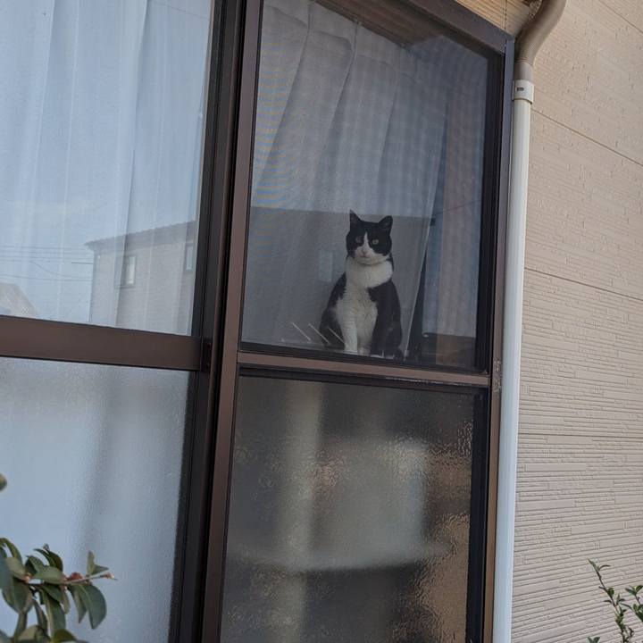 7c5cca2e 7a73 4936 a013 9882a1c66d22 1746425318807