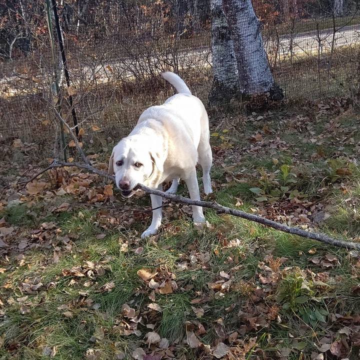 7c5ccf14 1a61 4ae9 825f a0c6530efddf 1698847728640