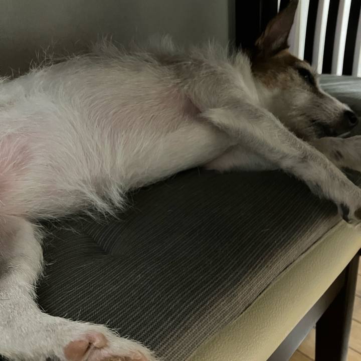 7c5d3330 37d2 4344 88c3 23f6ae773e3e 1689809043432