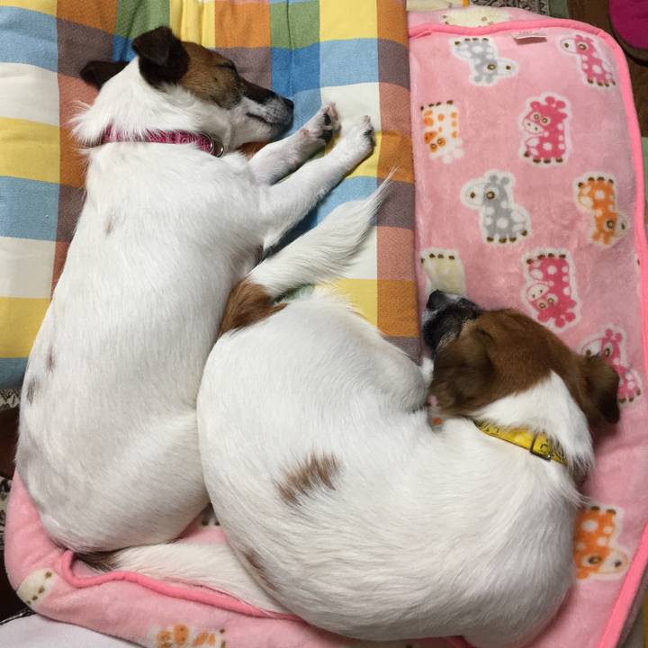 7c5dae73 9308 47de 8462 0b327145b1f0 1511448370812