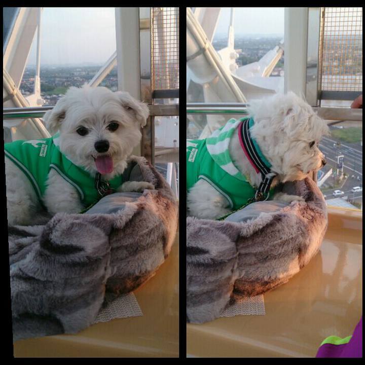 7c5dc55d 8011 4354 9454 d84023548aff 1524389186351