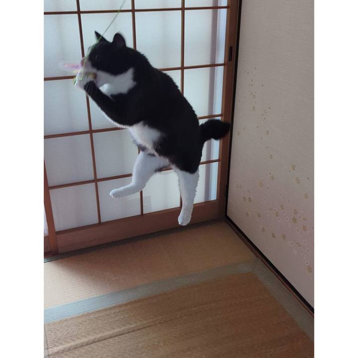 7c5ddbaa 461d 47eb a1ea c712c01b04db 1716700678369