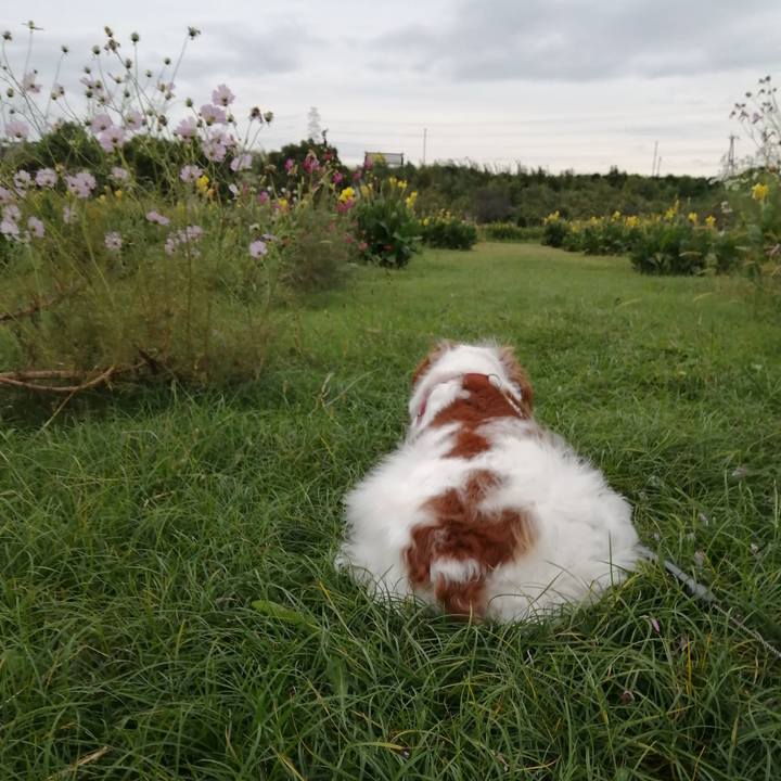 7c5de598 f290 4e38 bf11 b2710a9889fb 1570793942659