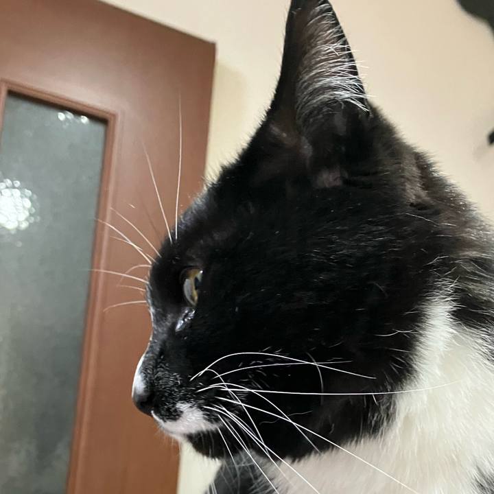 7c5e01cd 9894 4fef 87dc c8705a270c21 1680148445917